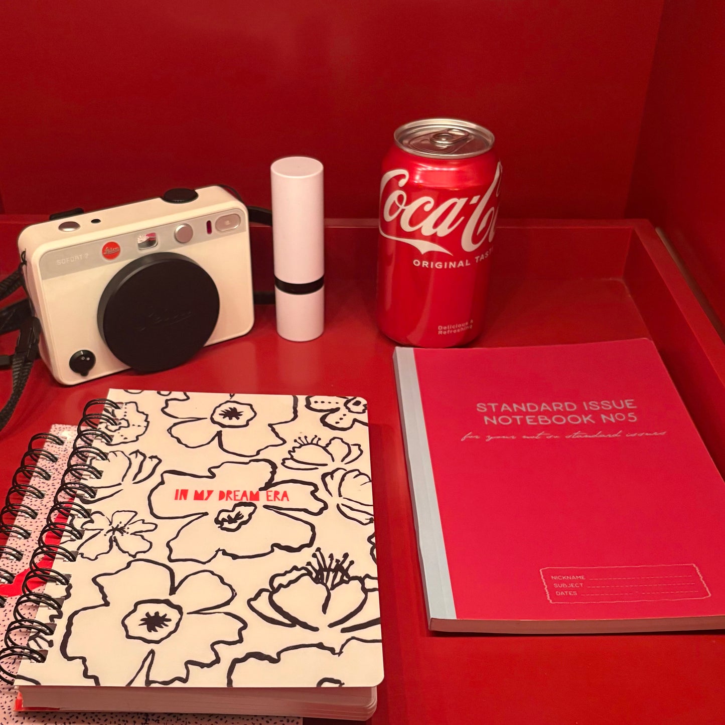 STANDARD ISSUE NOTEBOOK NO.5