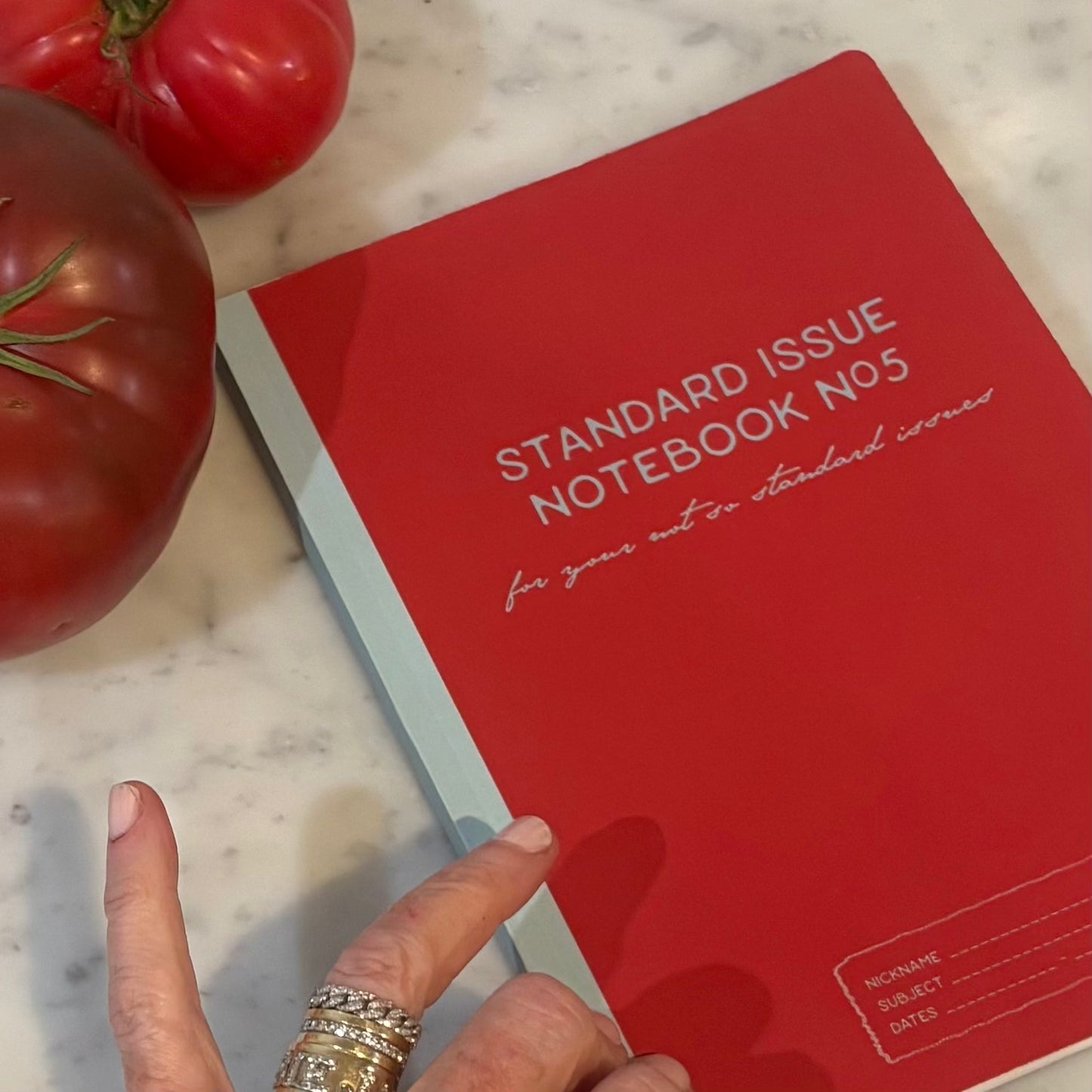 STANDARD ISSUE NOTEBOOK NO.5