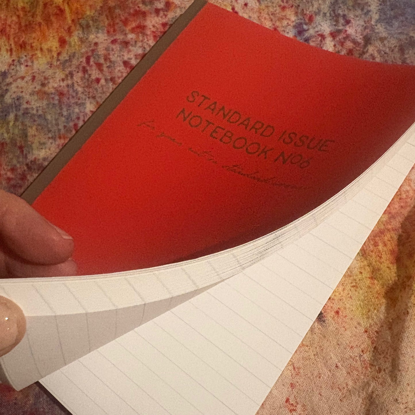 STANDARD ISSUE NOTEBOOK NO.6