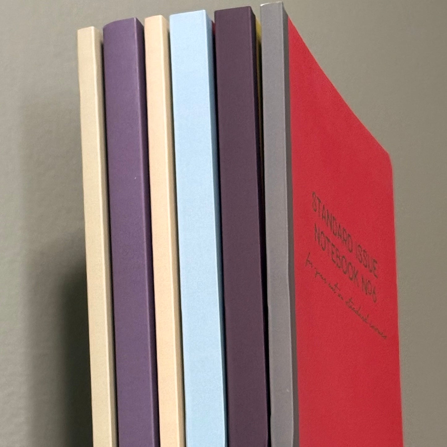 STANDARD ISSUE NOTEBOOK NO.6