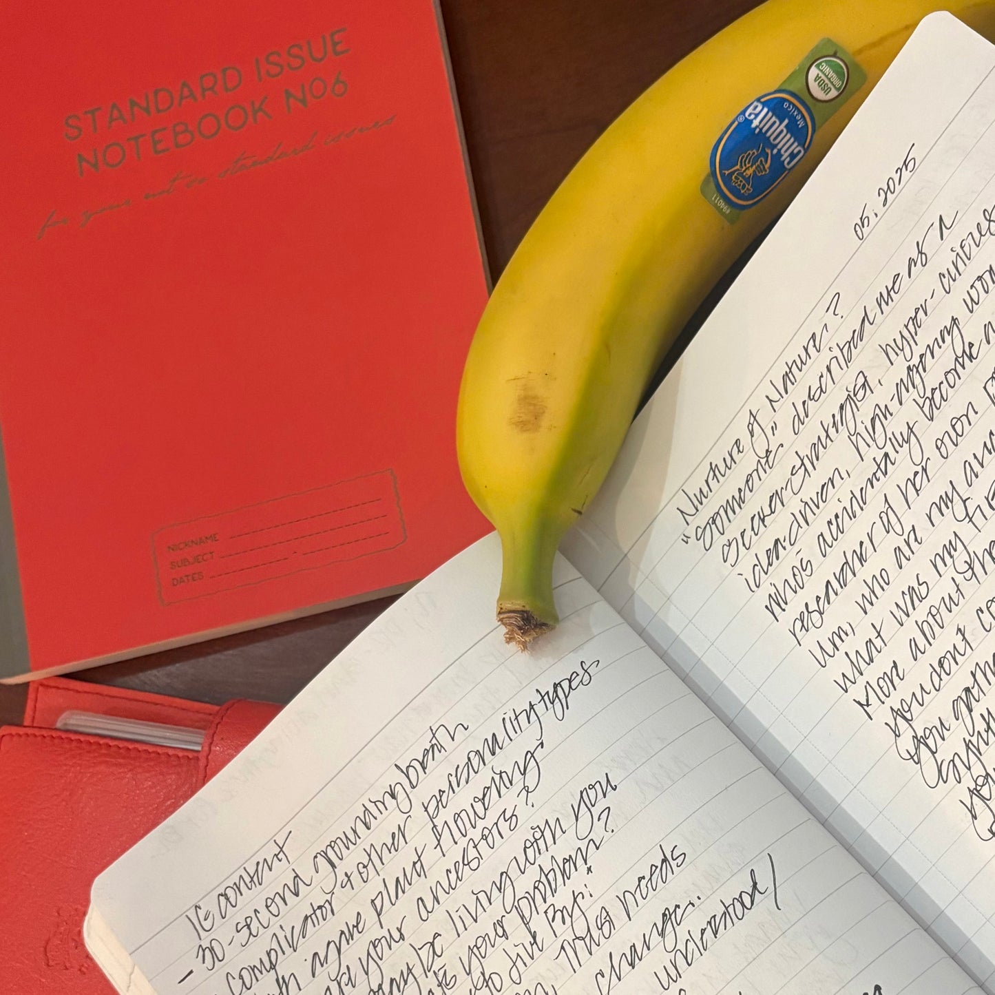 STANDARD ISSUE NOTEBOOK NO.6