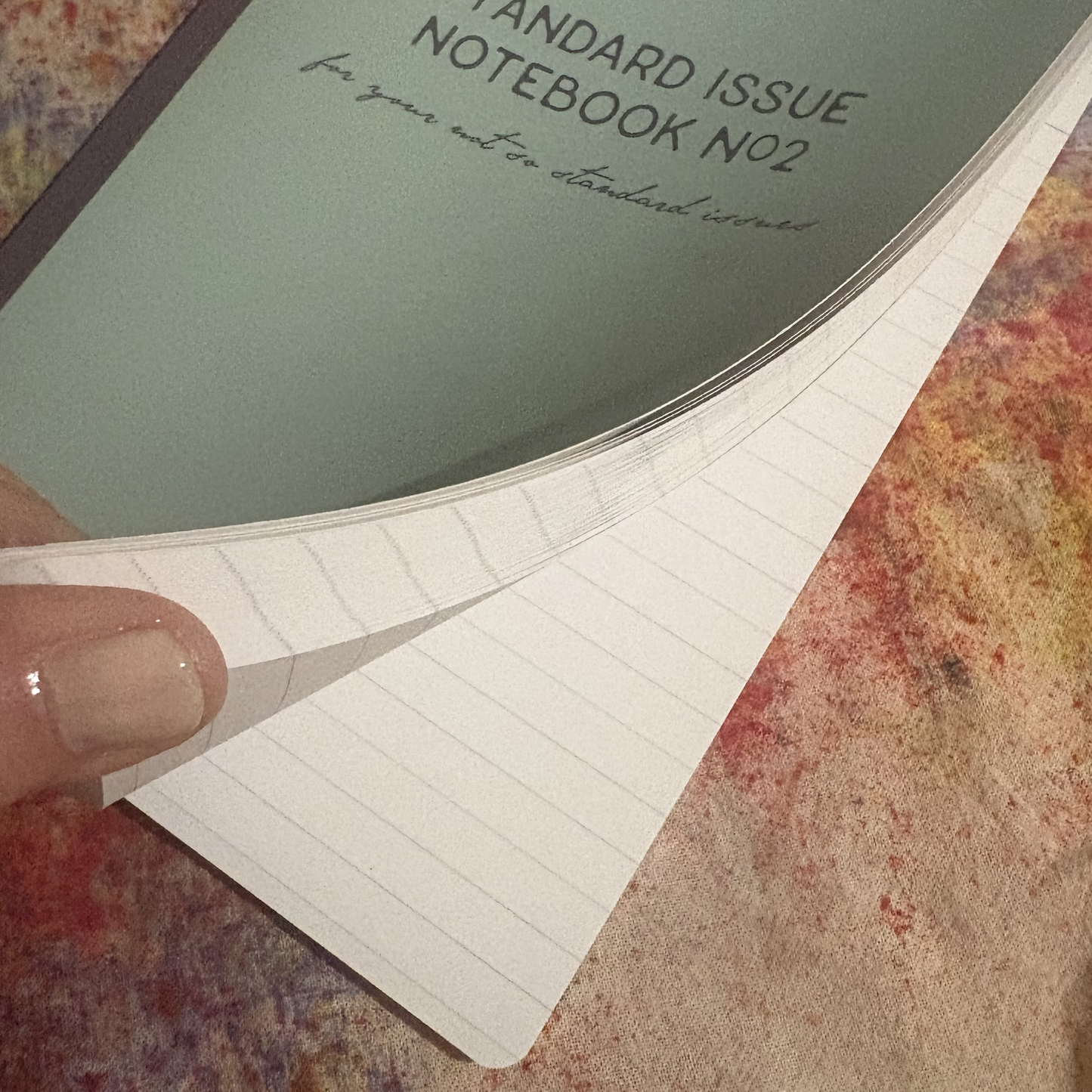 STANDARD ISSUE NOTEBOOK NO.2