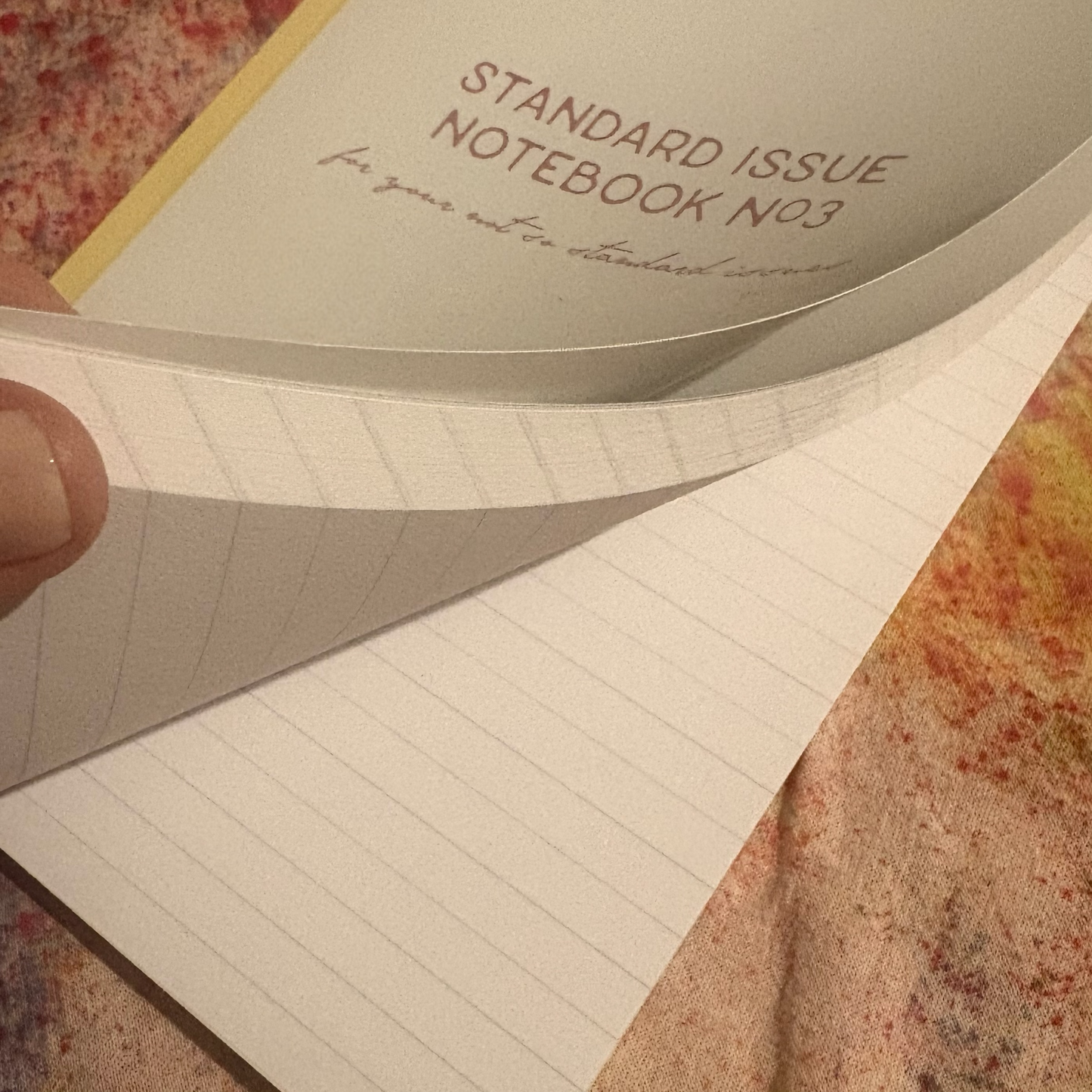 STANDARD ISSUE NOTEBOOK NO.3