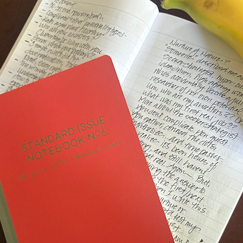 STANDARD ISSUE NOTEBOOK NO.6
