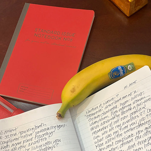 STANDARD ISSUE NOTEBOOK NO.6